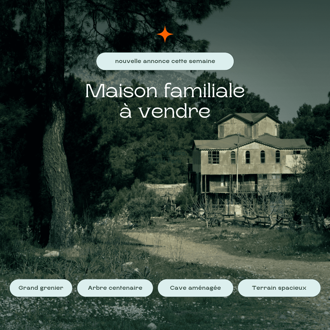 halloween-immobilier-exemple-annonce